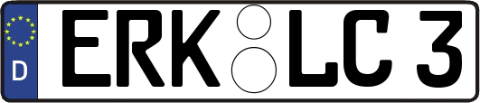 ERK-LC3