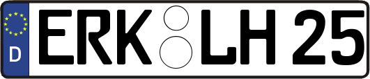 ERK-LH25