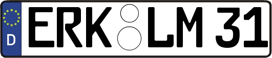 ERK-LM31
