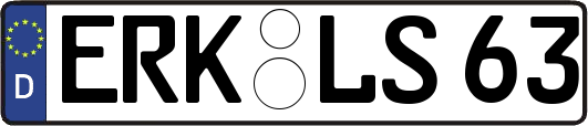 ERK-LS63