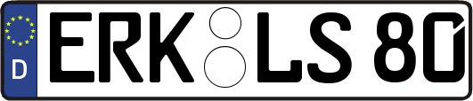 ERK-LS80