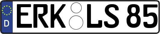ERK-LS85