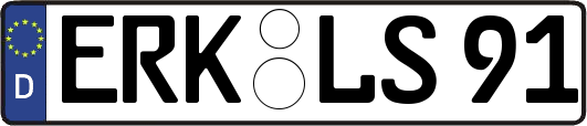 ERK-LS91
