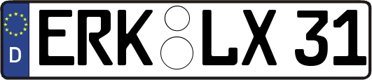 ERK-LX31