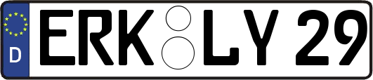 ERK-LY29