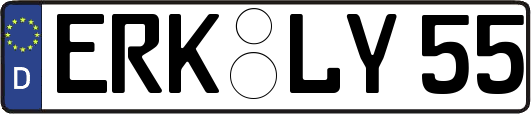 ERK-LY55