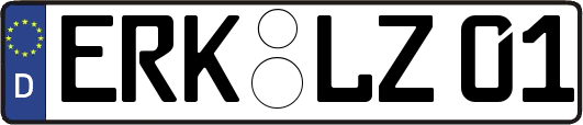 ERK-LZ01