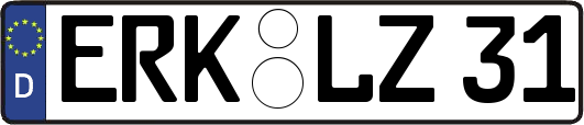 ERK-LZ31