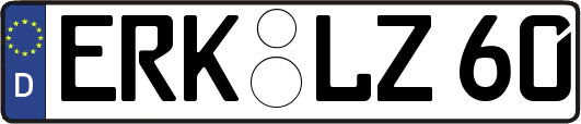 ERK-LZ60