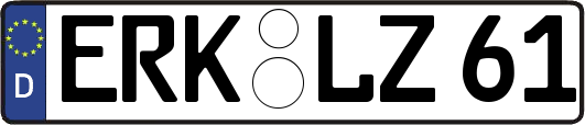 ERK-LZ61