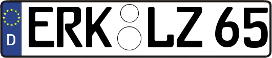 ERK-LZ65