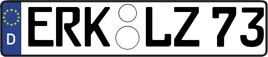 ERK-LZ73