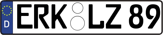 ERK-LZ89