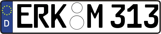 ERK-M313