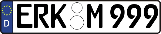 ERK-M999