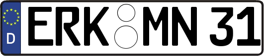 ERK-MN31