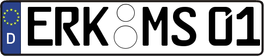 ERK-MS01