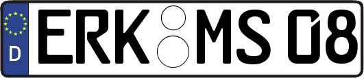 ERK-MS08