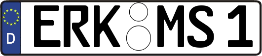 ERK-MS1
