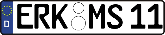 ERK-MS11