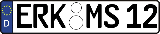 ERK-MS12