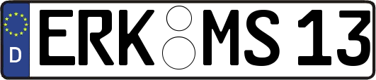 ERK-MS13