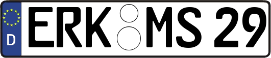 ERK-MS29
