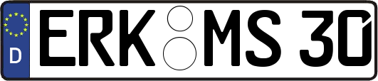 ERK-MS30