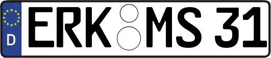 ERK-MS31
