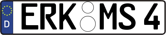ERK-MS4