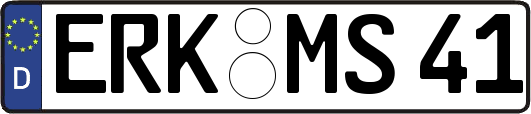 ERK-MS41
