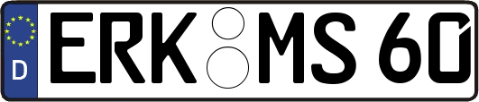 ERK-MS60