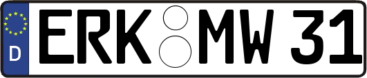 ERK-MW31