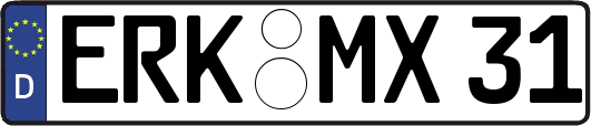 ERK-MX31