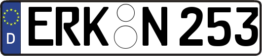 ERK-N253