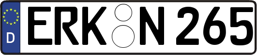 ERK-N265