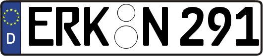 ERK-N291