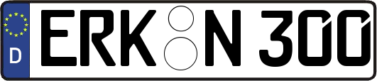 ERK-N300