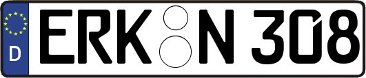 ERK-N308