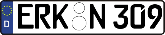ERK-N309