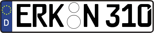 ERK-N310