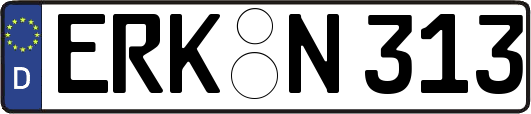 ERK-N313