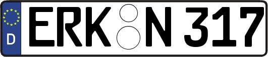ERK-N317