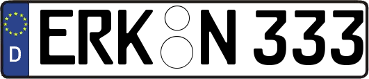 ERK-N333