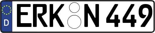ERK-N449