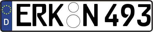 ERK-N493