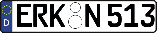 ERK-N513