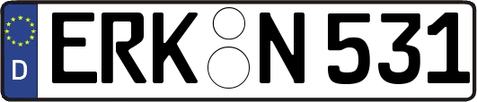 ERK-N531