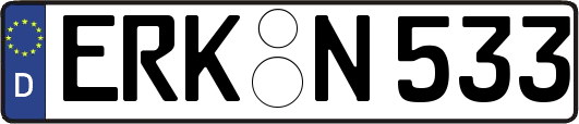 ERK-N533