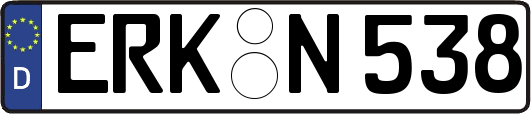 ERK-N538